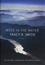Wade in the Water book cover
