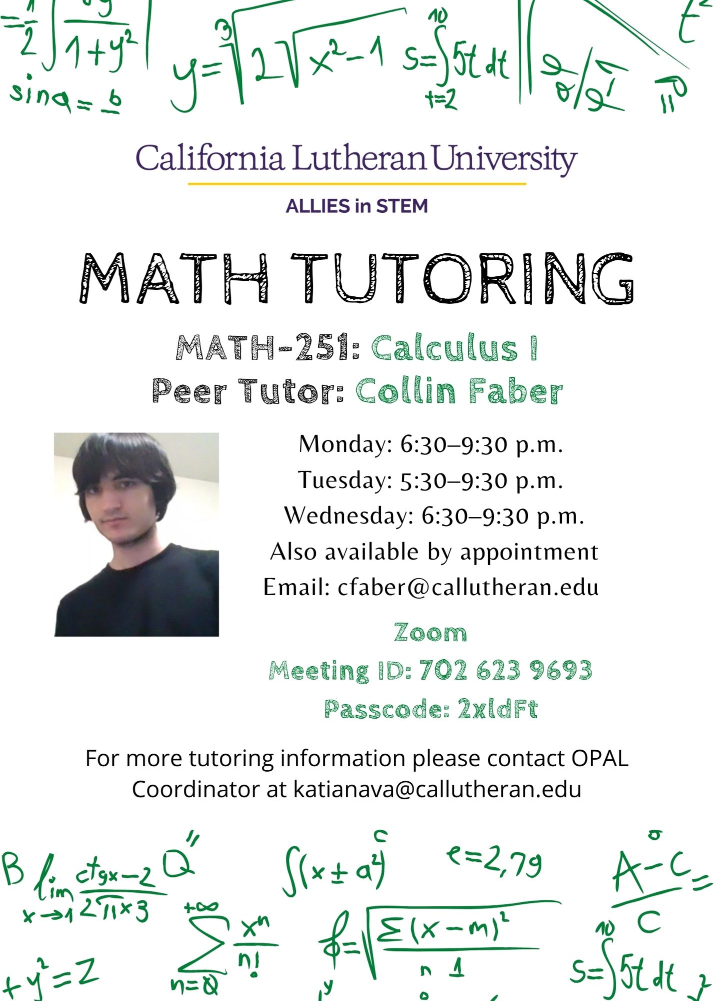 Math Tutoring Flyer for ALLIES Summer 2021